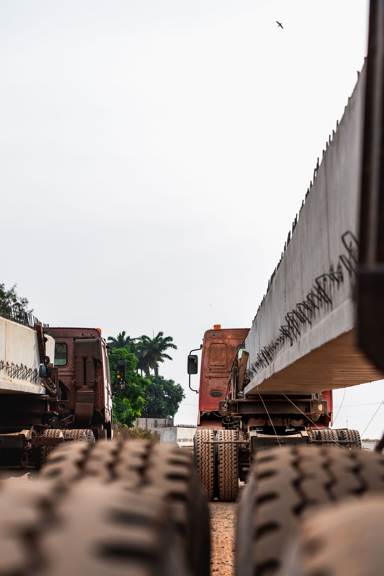 Illustrative precast concrete bridge beams being transported by heavy haulage trucks, not an actual project